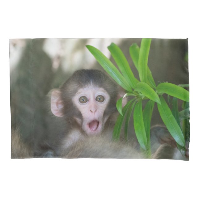 Housse D'oreillers Animaux de bébés cutest | Singe des neiges surpris (devant)