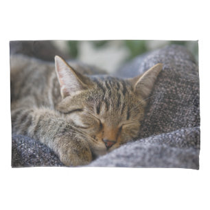 Housse D'oreillers Animaux de bébés cutest   Tabby Kitten Sommeil