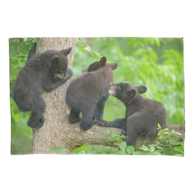 Housse D'oreillers Animaux de bébés cutest | Trois jeunes petits ours (devant)