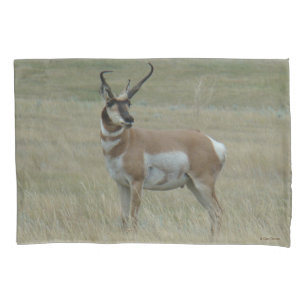 Housse D'oreillers Antilope d'Amérique A37 Grand Buck à cornes torsad