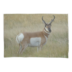 Housse D'oreillers Antilope d'Amérique mâle A1