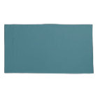 Aqua - Teal - Turquoise - Blue-Green Solid Color