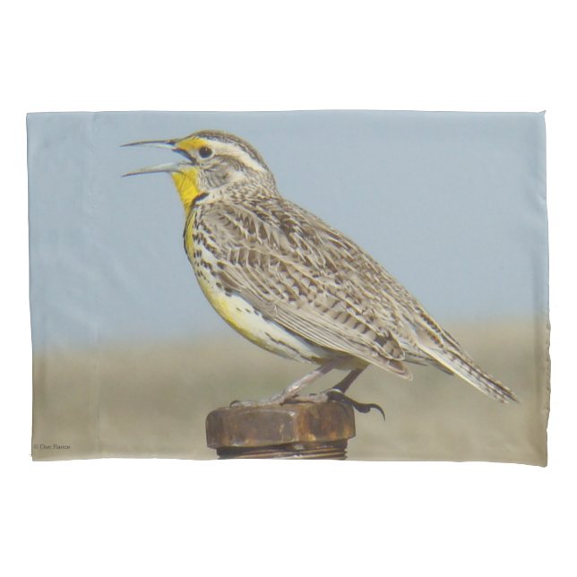 Housse D'oreillers B6 Ouest Meadowlark (devant)