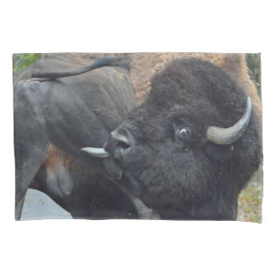 Housse D'oreillers Bison drôle de Taureau léchant ses testicules