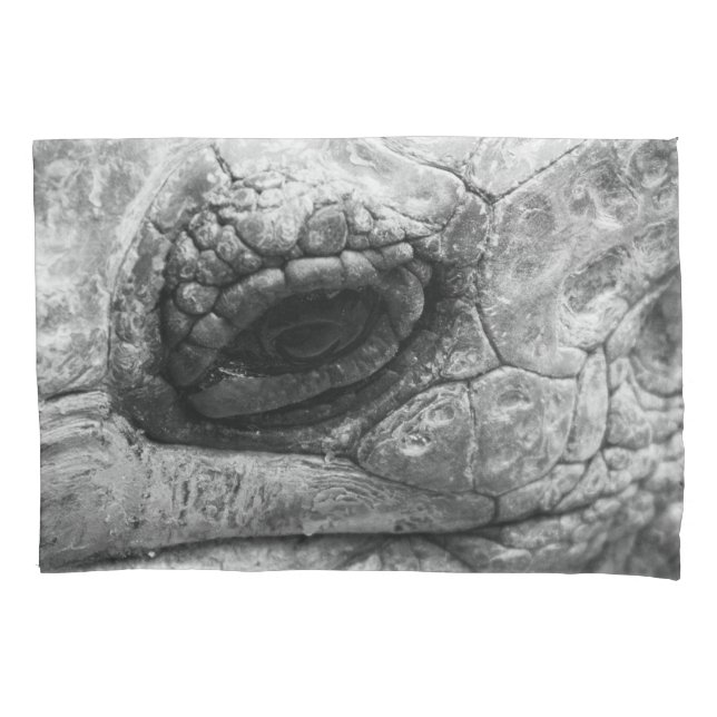 Housse D'oreillers BW Tortoise (devant)