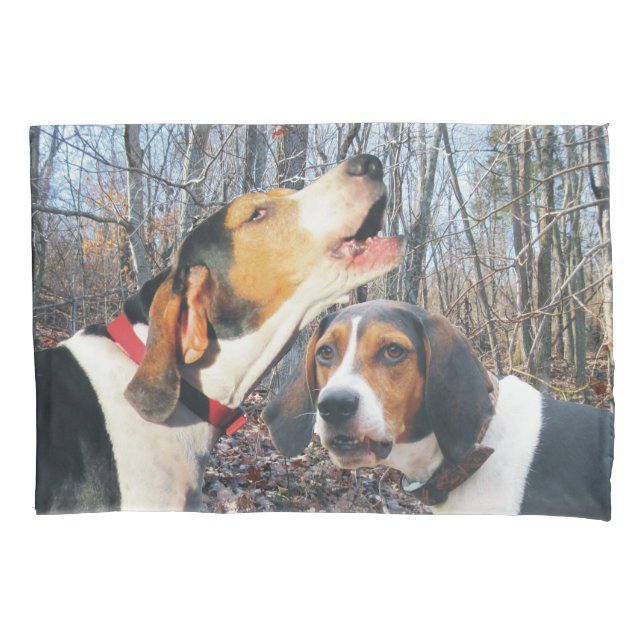 Housse D'oreillers Caisse de coussin de Coonhound de marcheur (devant)