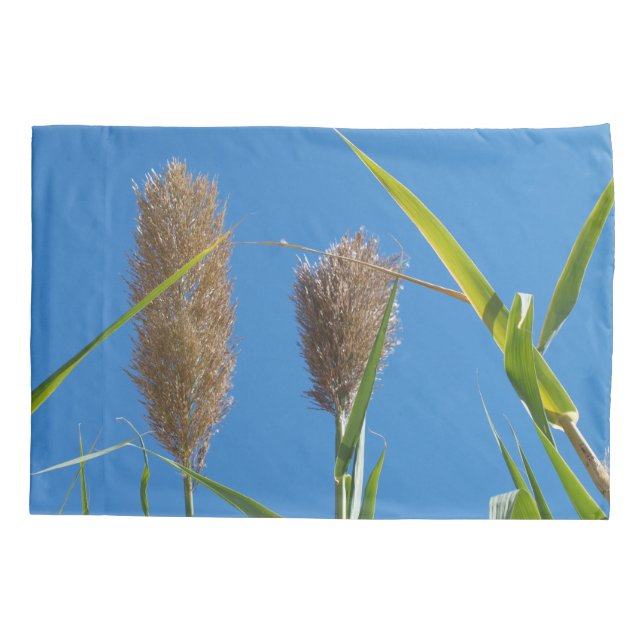 Housse D'oreillers Caisse faite sur commande standard de coussin (Dos)