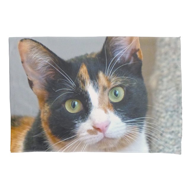 Housse D'oreillers Calico Cat (devant)