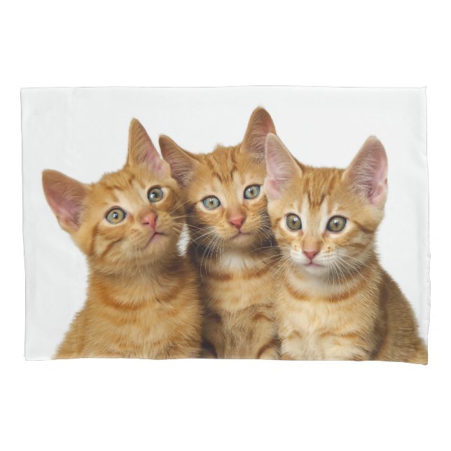 Housse D'oreillers Cat Kittens, trois mignons gingembre Photo de la t (devant)