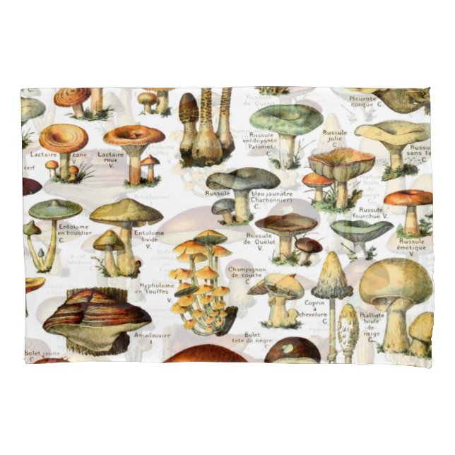 HOUSSE D'OREILLERS CHAMPIONNATS 4 (devant)