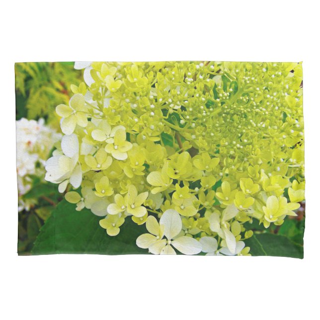 Housse D'oreillers Chartreuse Green, Limelight Hydrangea, (devant)