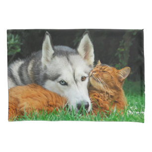 Housse D'oreillers chat somalien et Husky sibérien mignon amis câliné