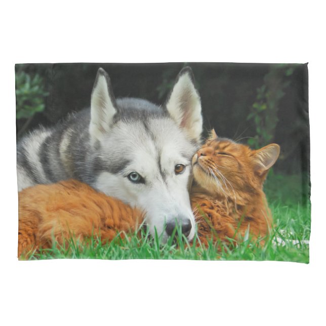 Housse D'oreillers chat somalien et Husky sibérien mignon amis câliné (devant)