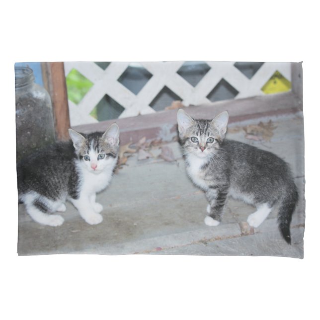 Housse D'oreillers Chatons (devant)