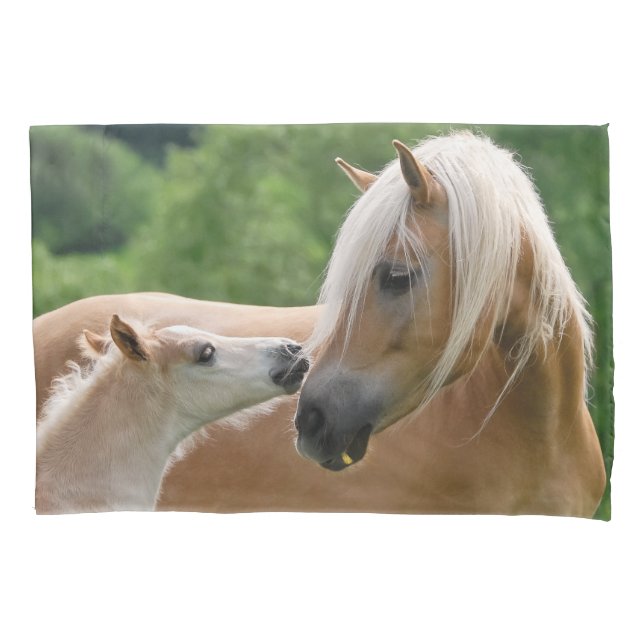 Housse D'oreillers Chevaux poulain de Haflinger et Coussin-Couverture (devant)
