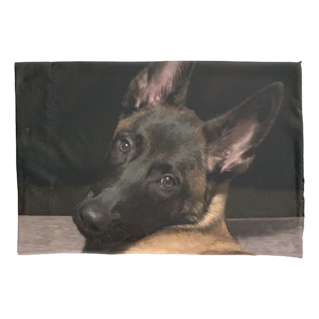 Housse D'oreillers Chien malinois (devant)