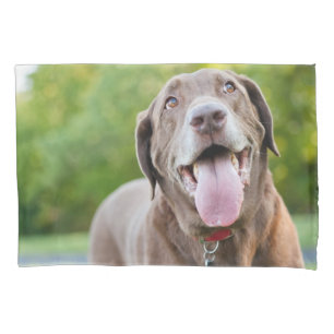 Housse D'oreillers Chocolat Lab Chien