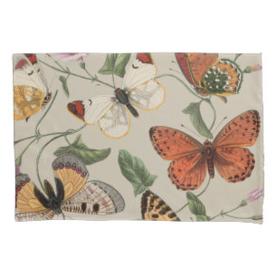 Housse D'oreillers Collection de la papillon Moth Nature Dessin
