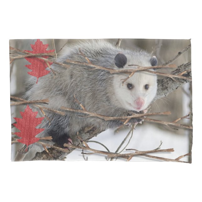 Housse D'oreillers Coque coussin Opossum Nature (devant)