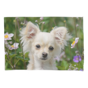 Housse D'oreillers Crème fine Chihuahua Dog Puppy Portrait Photo -