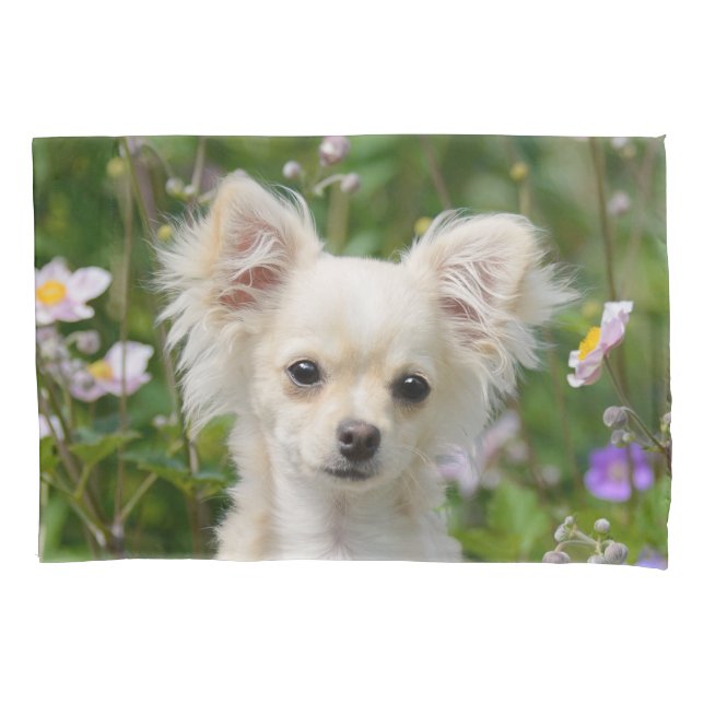 Housse D'oreillers Crème fine Chihuahua Dog Puppy Portrait Photo - (devant)