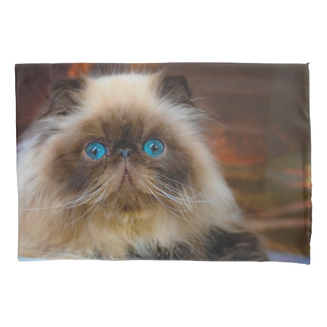 Housse D'oreillers Cutest Baby Animals | Himalayan Cat (devant)