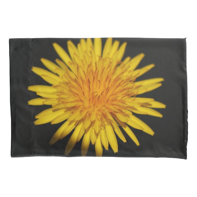 Housse D'oreillers Dandelion Flower pcnm (devant)