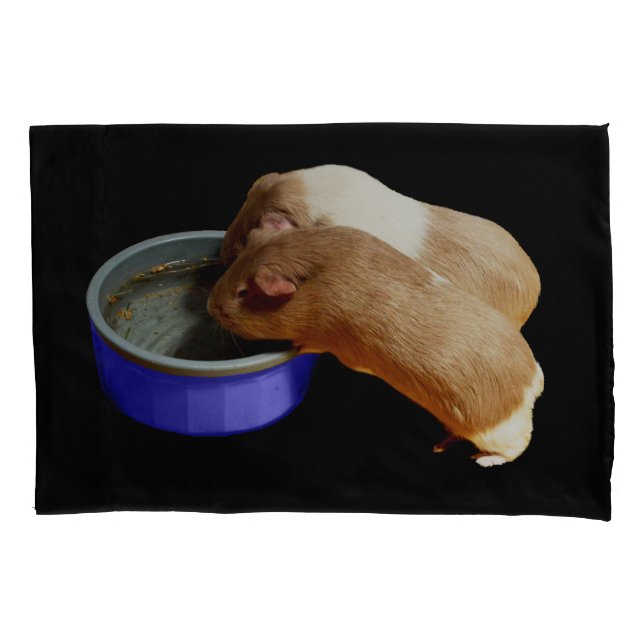 Housse D'oreillers Deux Cochons De Guinée Brown Et Blancs, (devant)