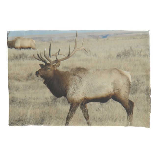Housse D'oreillers E55 Bull Elk Big Bull par River Hills (devant)