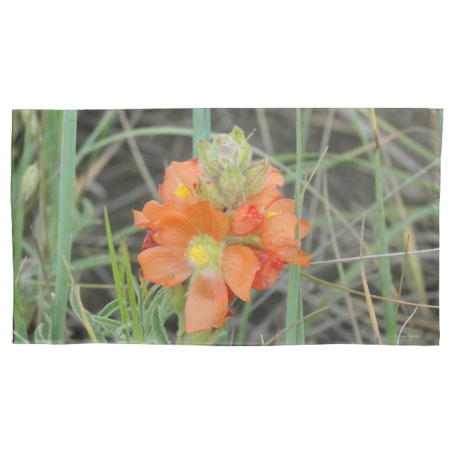 Housse D'oreillers F40 Fleurs sauvages orange Mallow (devant)