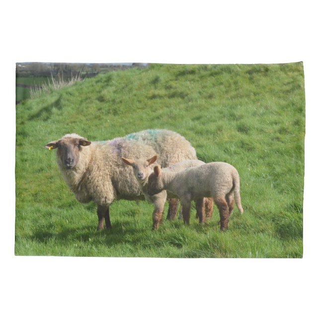 Housse D'oreillers Famille de moutons (Dos)