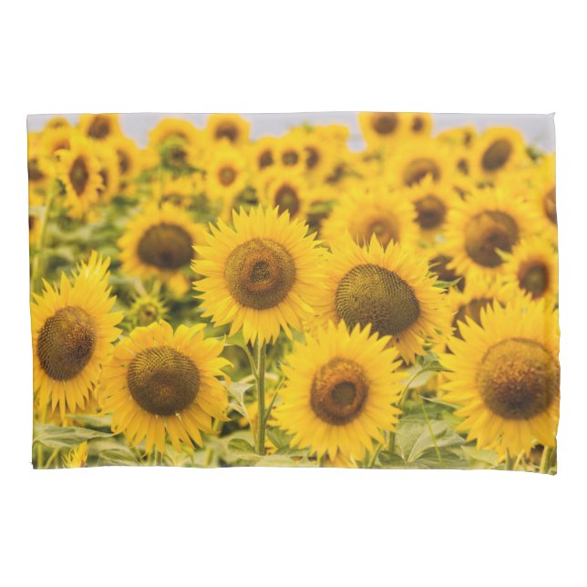 Housse D'oreillers Farms | A Sunflower Field (devant)