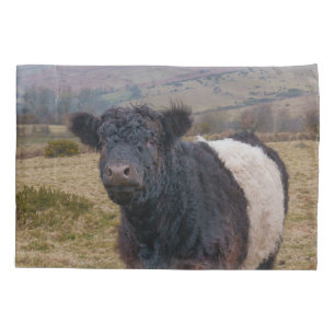 Housse D'oreillers Fier debout de la ceinture Galloway sur Dartmoor F