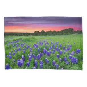 Housse D'oreillers Fleurs   Bluebonnets à Sunset Texas