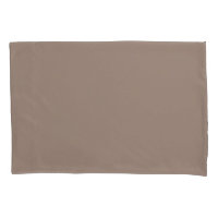 Fond de rose poussiéreuse chaude – Conception de m