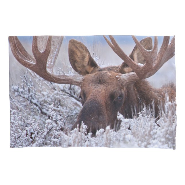 Housse D'oreillers Glace et neige | Grand Teton National Park, Wyomin (devant)