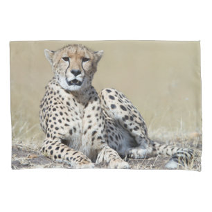Housse D'oreillers Guépard
