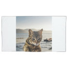 "Ici je suis" dit le chat