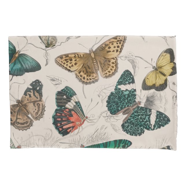Housse D'oreillers Illustration de papillon antique : 1820 Orfèvre (devant)