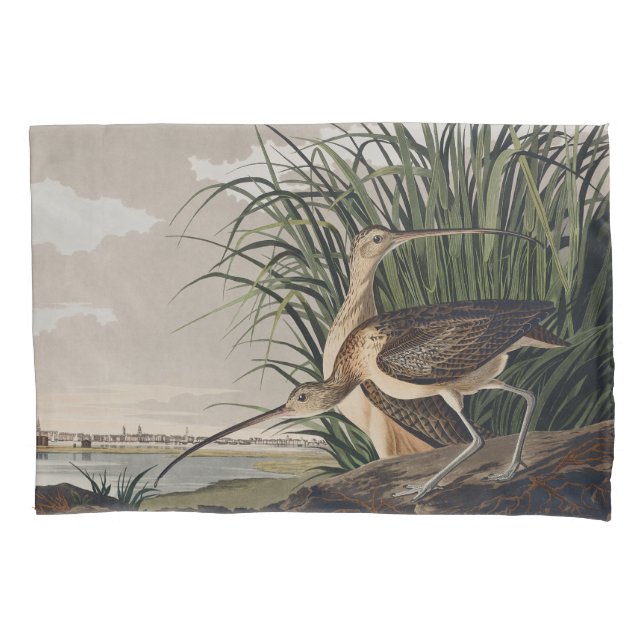 Housse D'oreillers John James Audubon Long-Billed Curlew Bird (devant)