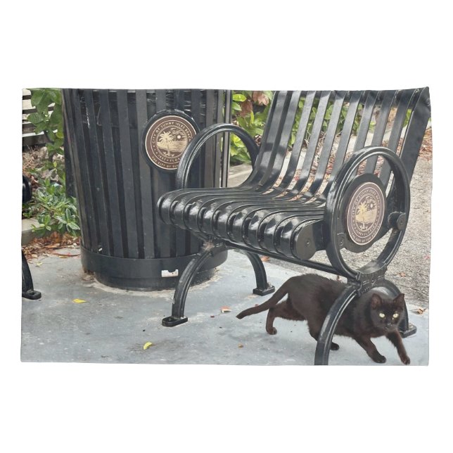 Housse D'oreillers Kitty dans le parc (Dos)