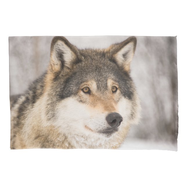 Housse D'oreillers La faune de la forêt d'hiver du loup (devant)