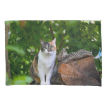 Le Chat