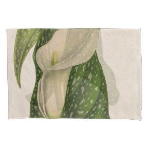 Housse D'oreillers Le vert vintage de zantedeschia de fleur laisse le