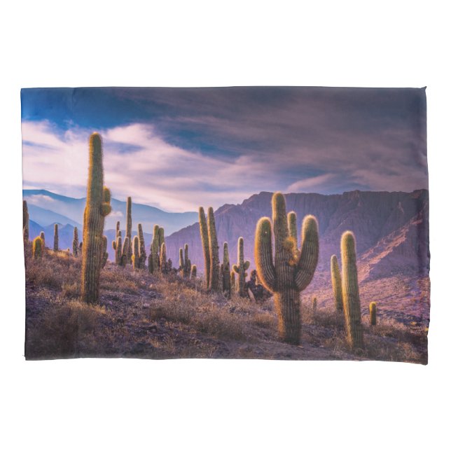 Housse D'oreillers Les déserts | Cactus Paysage Argentine (devant)