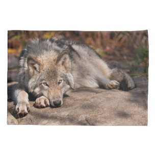 Housse D'oreillers Loup de bois