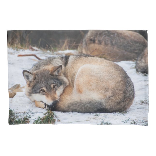 Housse D'oreillers Loups dormant (devant)
