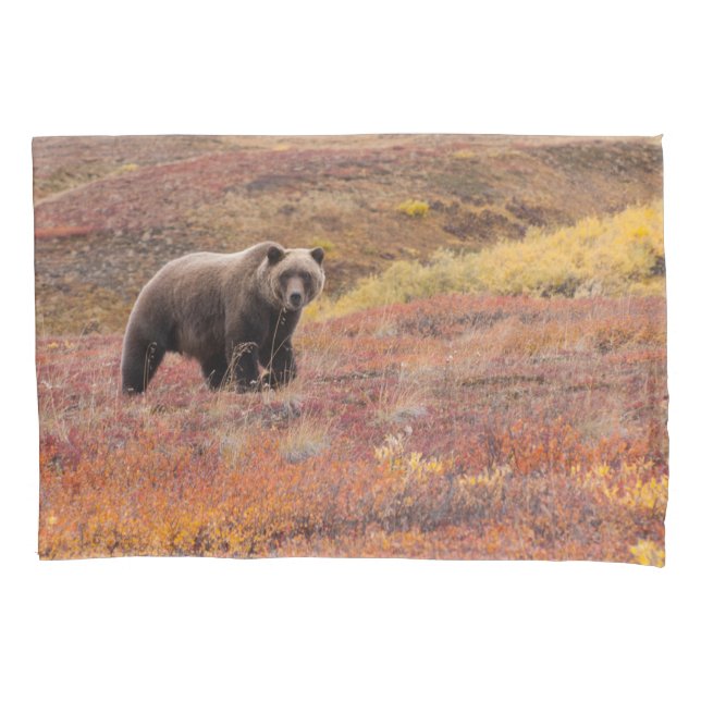 Housse D'oreillers L'Ours Grizzli Parcourt Les Couleurs D'Automne En  (devant-gauche)