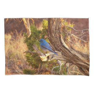 Housse D'oreillers Merlebleu montagnard dans le parc national d'Arche