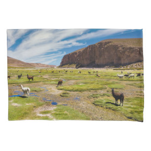 Housse D'oreillers Montagnes Andes boliviennes